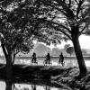 AAAWidodo-Sugiarto-000000-THREE-BICYCLES-2020_2020WLC