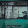 Chen-Xinxin-000000-Bus-passengers4-2016_2019WLC