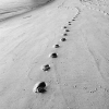 Pagnottelli-Maurizio-25108-Footsteps-2019_2019WLC