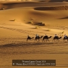Nassim-Eloud-000000-Camel-ride-9159-2019_2019WLC