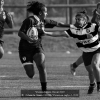 Schianchi-Gianni-030330-Women-in-rugby-2-2019_2019WLC