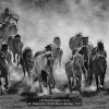 AAAChan-Betty-000000-Horse-Herding-2020_2020WLC