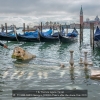 AAATOMELLERI-Giuseppe-008082-Venice-after-the-storm-1bis-2020_2020WLC