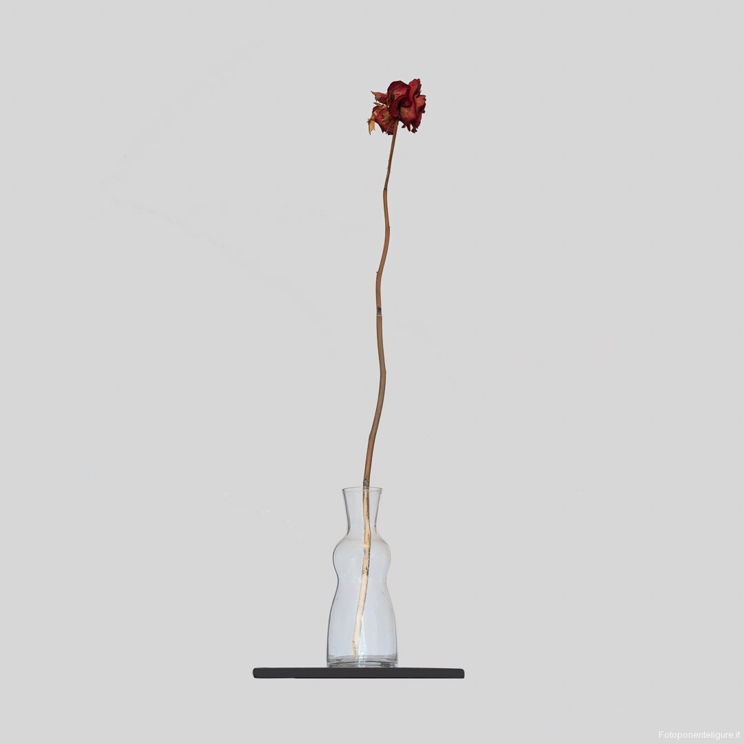Zebuhr-Goran-000000-Still-life-Rose-2021
