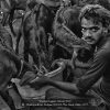 Chattopadhyay-Kalyan-000000-The-Goat-Seller-2017_2019WLC