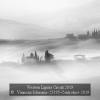 Vannozzi-Massimo-25195-Controluce-2019_2019WLC